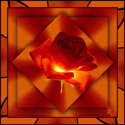Flor-Iluminada.gif