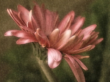Flor-e-Arte.jpg
