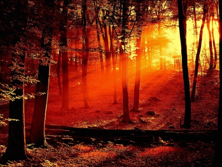 Luz-do-Sol.jpg