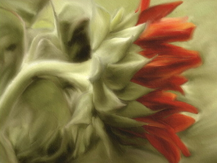 Pintura-de-Flor.jpg