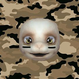 sl.jpg