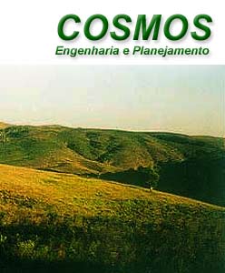 cosmos.jpg
