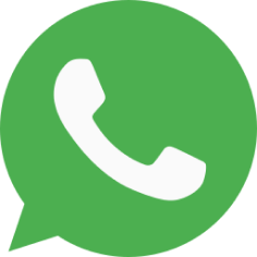 imagem_2024-12-20_130943943.png
