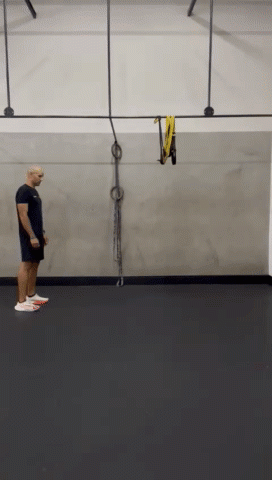 1000071490.gif