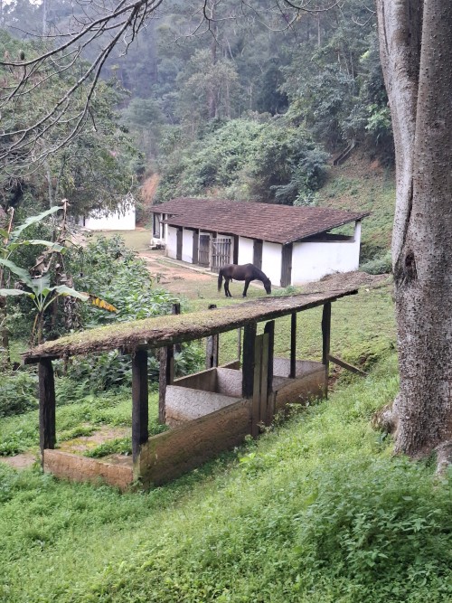 Haras-Marones-espaco-para-festa-espaco-de-eventos-paseio-a-cavalo-salao-de-festastrilhas-eventos-e-lazer-na-natureza-Mendes_1_26.jpg