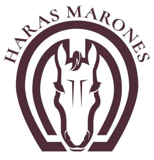 Haras-Marones-espaco-para-festa-espaco-de-eventos-paseio-a-cavalo-salao-de-festastrilhas-eventos-e-lazer-na-natureza-Mendes_1_90.jpg