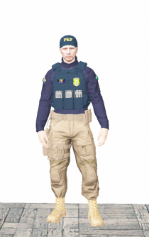 prf01.png