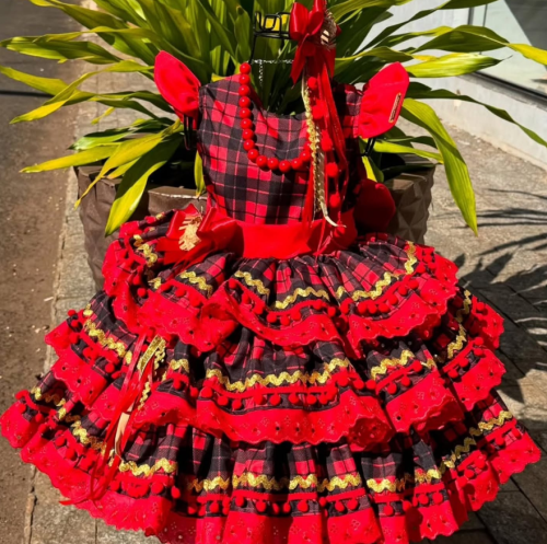 Captura-de-tela-2026-01-14-184622.png