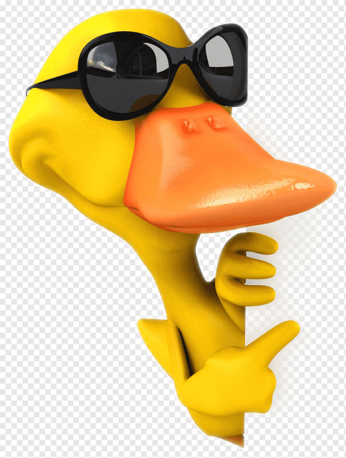 png-transparent-american-pekin-duck-illustration-cartoon-duck-s-cartoon-character-animals-orange.png