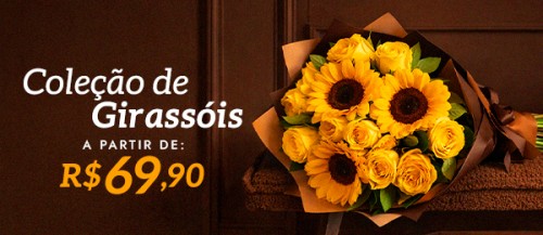 banner-colecao-de-girassol.jpg
